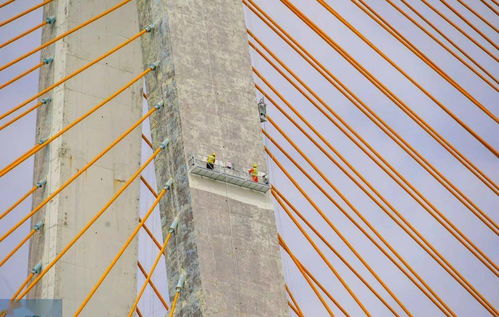 礐石大橋維修涂裝工程全面進入施工高峰期